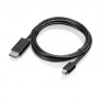 Lenovo | DisplayPort cable | Male | 20 pin DisplayPort | Male | Mini DisplayPort | 2 m - 3